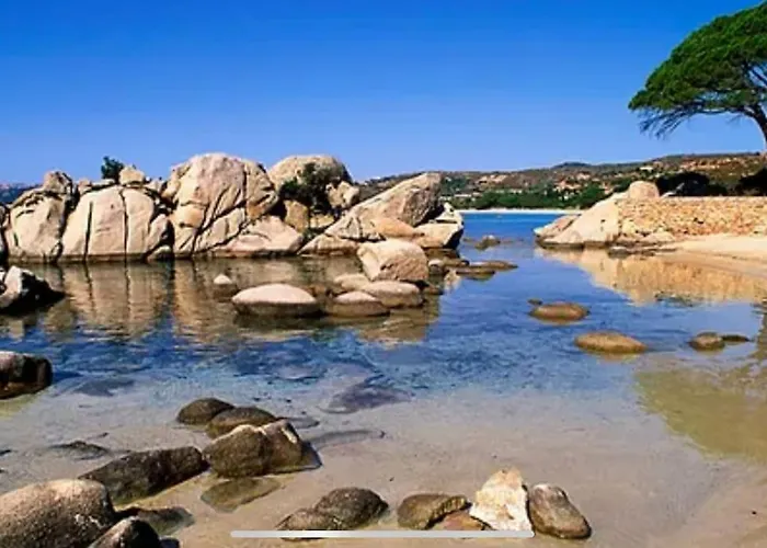 Appartement Tres Bel De 105 M2 Et 45 M2 De Terrasse A 100 M Du Port *